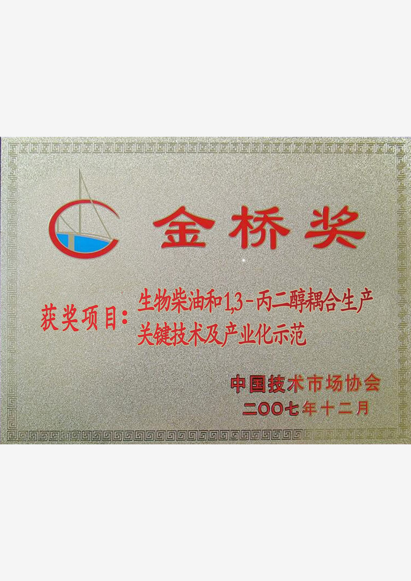 中国技术市场协会金桥奖（2007.12）